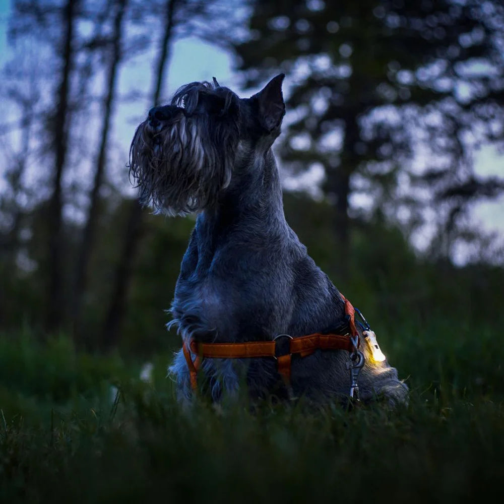 Monitoimilamppu Armytek Zippy Harmaa 3 in 1 160 lm