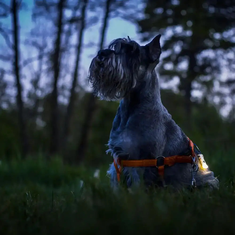 Monitoimilamppu Armytek Zippy Punainen 3 in 1 160 lm